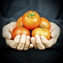 Why go grain-free?