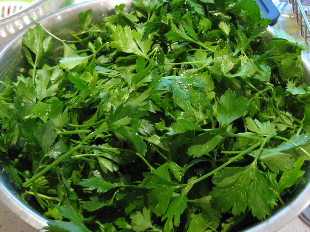 A large bowl of parsley leaves.