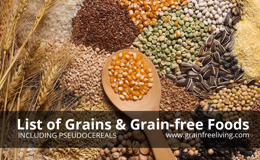 which grain free diets