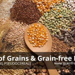 List of Grains and Grain-Free Foods including Pseudocereals